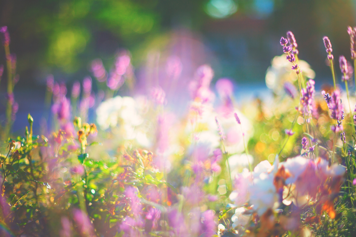 Floral