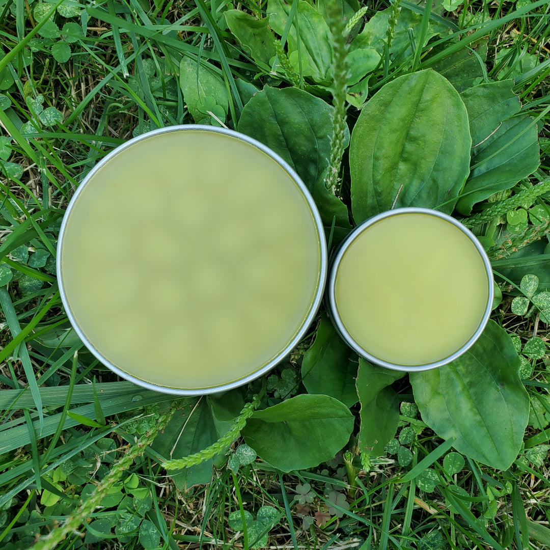 Green Goodness Herbal Salve - 4oz