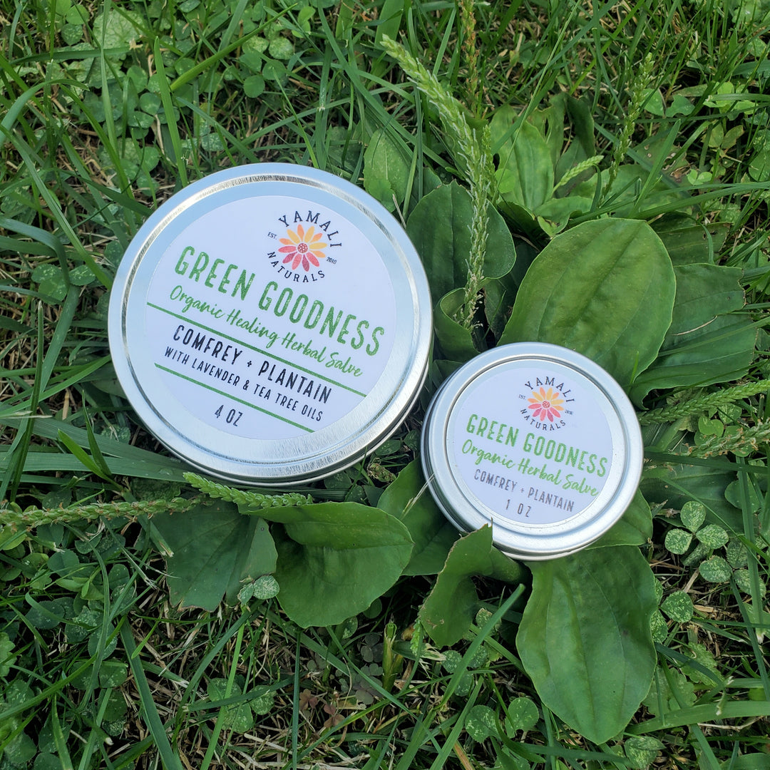 Green Goodness Herbal Salve - 4oz